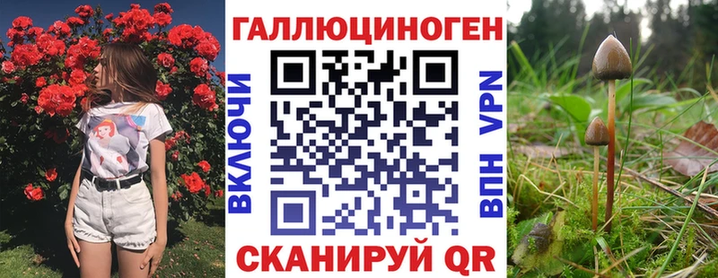 darknet наркотические препараты  KRAKEN ТОР  Сысерть  Псилоцибиновые грибы ЛСД 